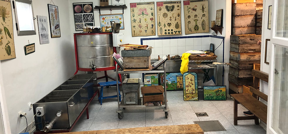 La sala didáctica La sala didáctica