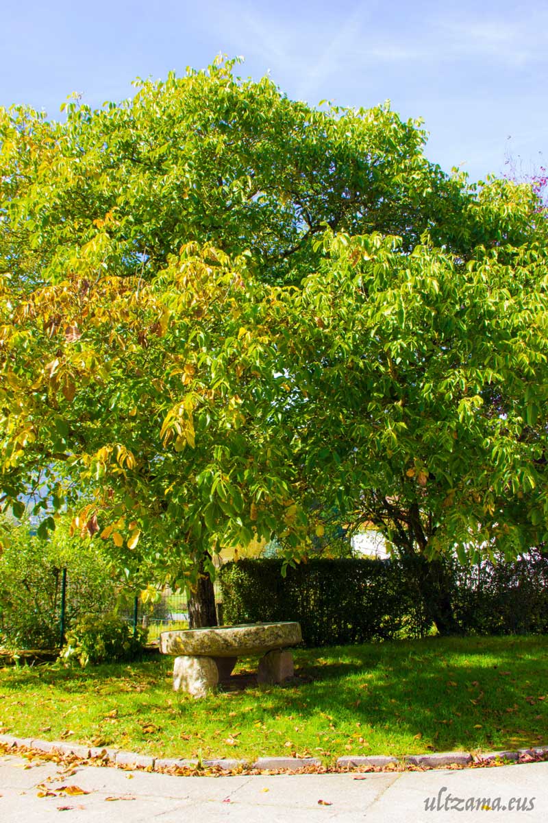 Naturaleza Gerendiain