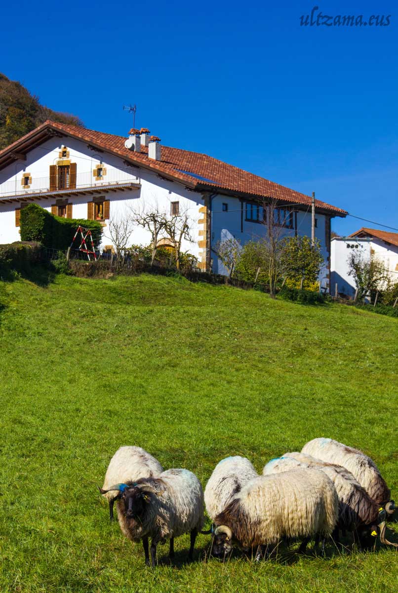 Naturaleza Larraintzar